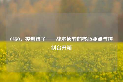 CSGO,控制箱子——战术博弈的核心要点与控制台开箱