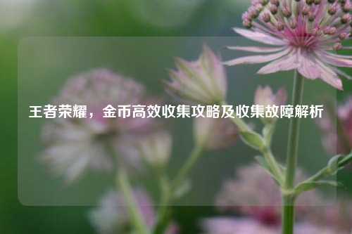 王者荣耀,金币高效收集攻略及收集故障解析