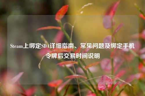 Steam上绑定SDA详细指南、常见问题及绑定手机令牌后交易时间说明