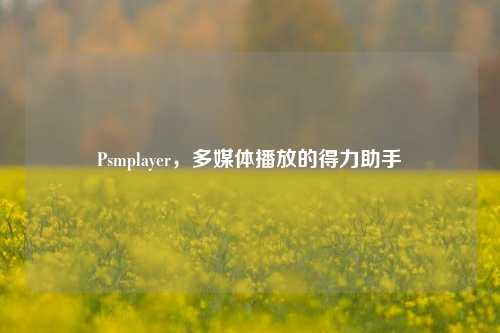 Psmplayer，多媒体播放的得力助手