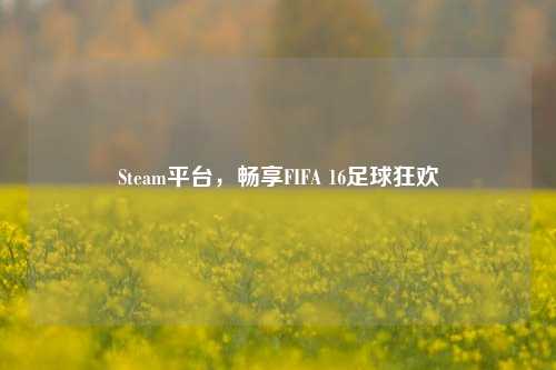 Steam平台,畅享FIFA 16足球狂欢