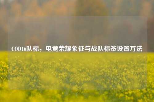 COD16队标,电竞荣耀象征与战队标签设置方法