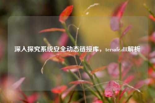 深入探究系统安全动态链接库,tersafe.dll解析