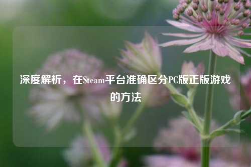 深度解析,在Steam平台准确区分PC版正版游戏的方法