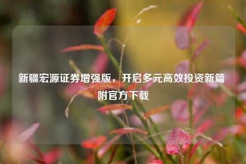 新疆宏源证券增强版,开启多元高效投资新篇 附官方下载