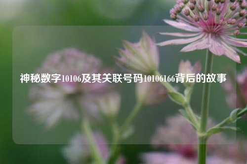 神秘数字10106及其关联号码10106166背后的故事