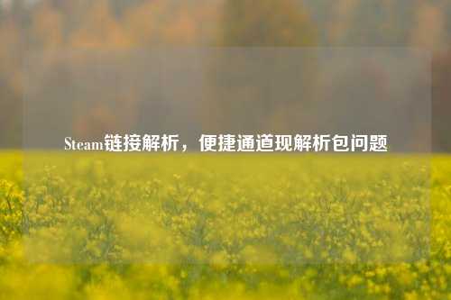 Steam链接解析，便捷通道现解析包问题