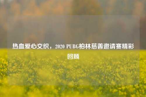 热血爱心交织,2020 PUBG柏林慈善邀请赛精彩回顾