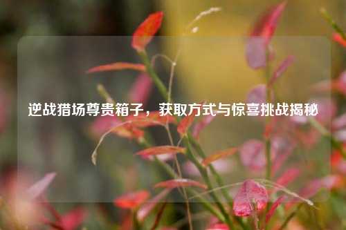 逆战猎场尊贵箱子,获取方式与惊喜挑战揭秘