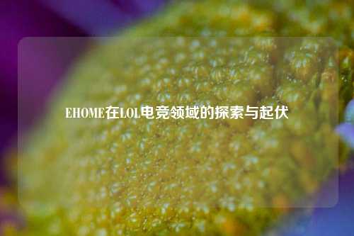EHOME在LOL电竞领域的探索与起伏