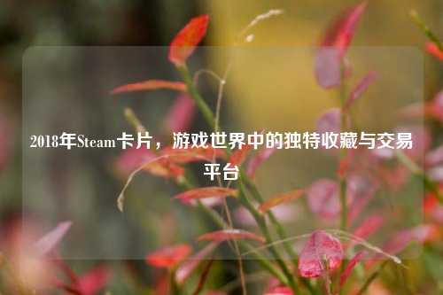 2018年Steam卡片,游戏世界中的独特收藏与交易平台