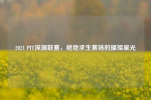 2021 PIT深渊联赛,绝地求生赛场的璀璨星光