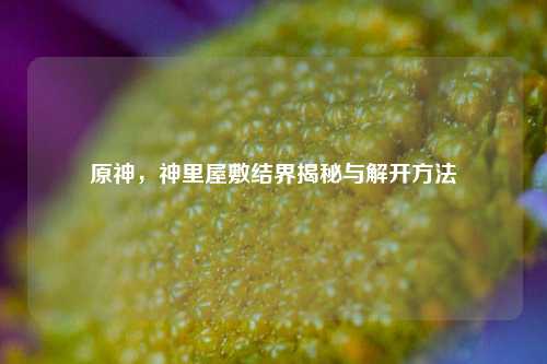 原神,神里屋敷结界揭秘与解开方法