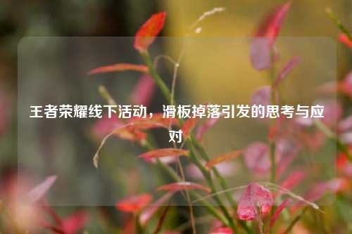 王者荣耀线下活动,滑板掉落引发的思考与应对