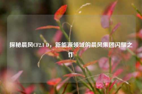 探秘晨风CF2.1 D,新能源领域的晨风集团闪耀之作