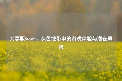 共享版Steam,灰色地带中的游戏体验与潜在风险