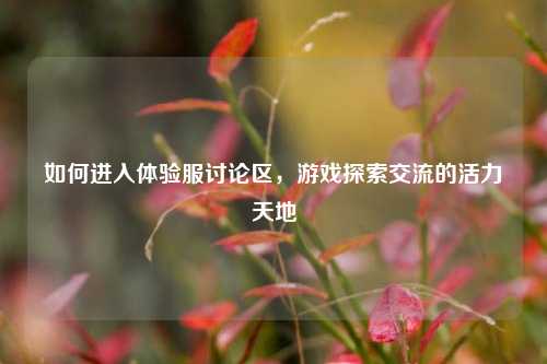 如何进入体验服讨论区,游戏探索交流的活力天地