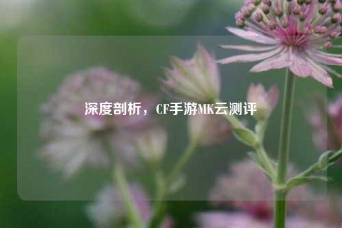 深度剖析,CF手游MK云测评