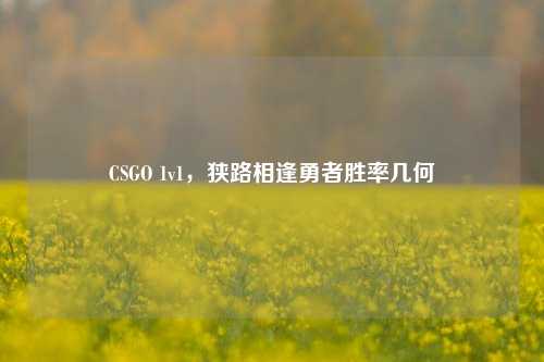 CSGO 1v1,狭路相逢勇者胜率几何