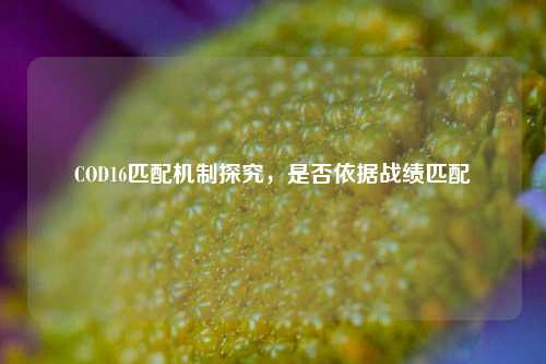 COD16匹配机制探究,是否依据战绩匹配