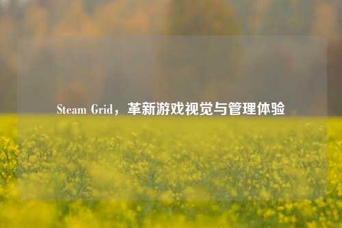 Steam Grid，革新游戏视觉与管理体验