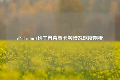 iPad mini 4玩王者荣耀卡顿情况深度剖析