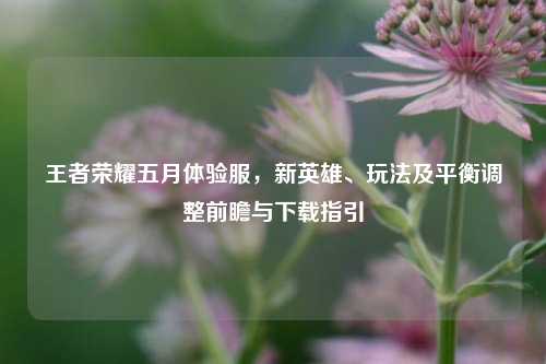 王者荣耀五月体验服,新英雄、玩法及平衡调整前瞻与下载指引