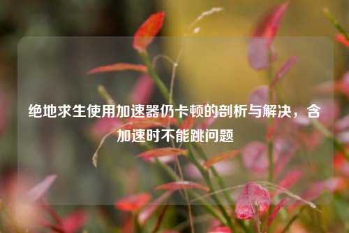 绝地求生使用加速器仍卡顿的剖析与解决,含加速时不能跳问题