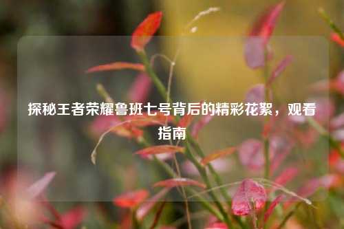 探秘王者荣耀鲁班七号背后的精彩花絮,观看指南