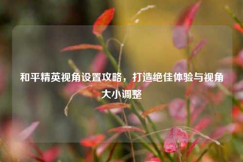 和平精英视角设置攻略,打造绝佳体验与视角大小调整