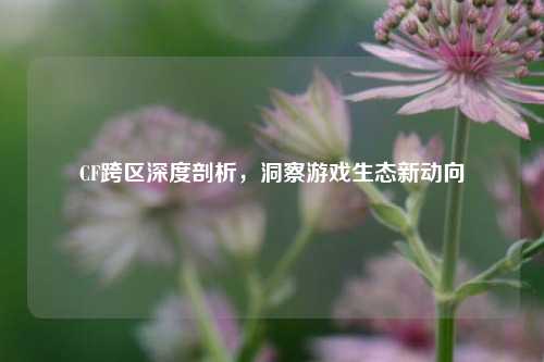 CF跨区深度剖析,洞察游戏生态新动向