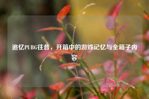 追忆PUBG往昔,开箱中的游戏记忆与全箱子内容