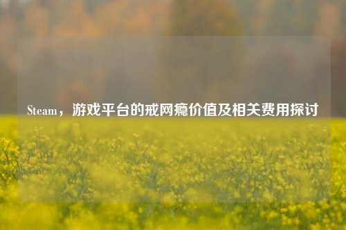 Steam,游戏平台的戒网瘾价值及相关费用探讨