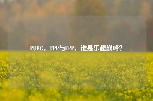 PUBG，TPP与FPP，谁是乐趣巅峰？