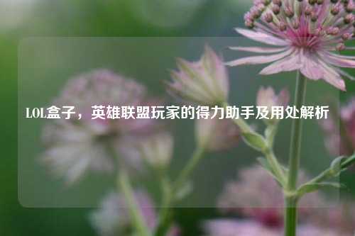 LOL盒子，英雄联盟玩家的得力助手及用处解析