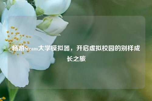 畅游Steam大学模拟器,开启虚拟校园的别样成长之旅