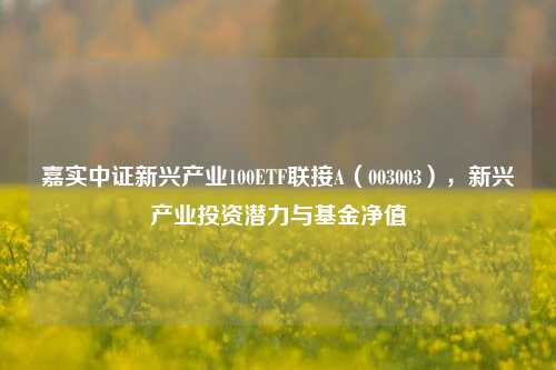 嘉实中证新兴产业100ETF联接A(003003),新兴产业投资潜力与基金净值