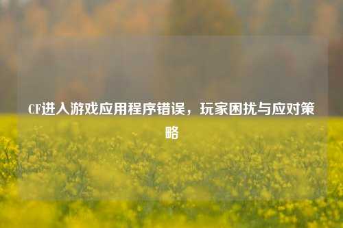 CF进入游戏应用程序错误,玩家困扰与应对策略