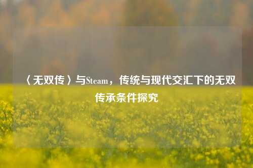 〈无双传〉与Steam,传统与现代交汇下的无双传承条件探究