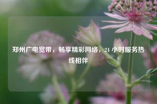 郑州广电宽带,畅享精彩网络,24 小时服务热线相伴