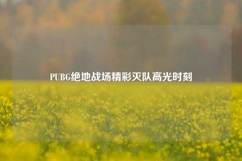 PUBG绝地战场精彩灭队高光时刻