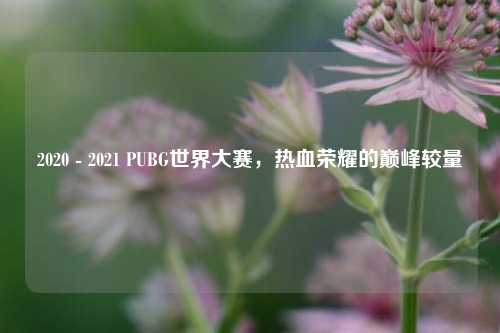 2020 - 2021 PUBG世界大赛,热血荣耀的巅峰较量
