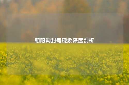 朝阳沟封号现象深度剖析