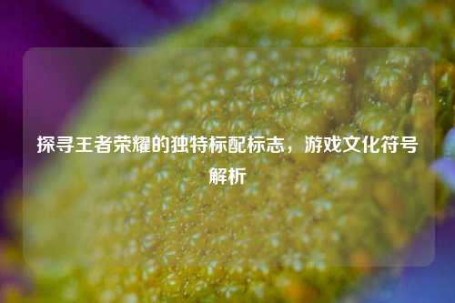 探寻王者荣耀的独特标配标志,游戏文化符号解析