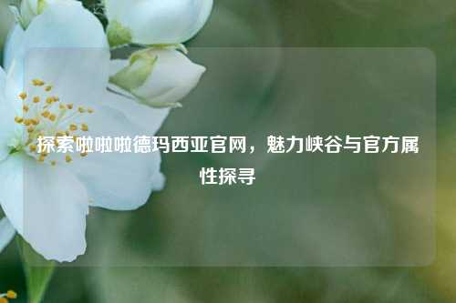 探索啦啦啦德玛西亚官网,魅力峡谷与官方属性探寻