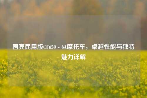 国宾民用版CF650 - 6A摩托车,卓越性能与独特魅力详解
