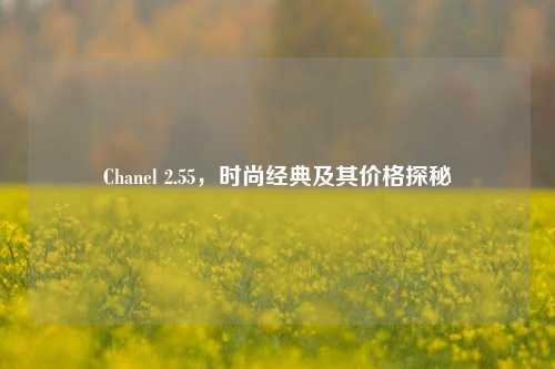 Chanel 2.55,时尚经典及其价格探秘