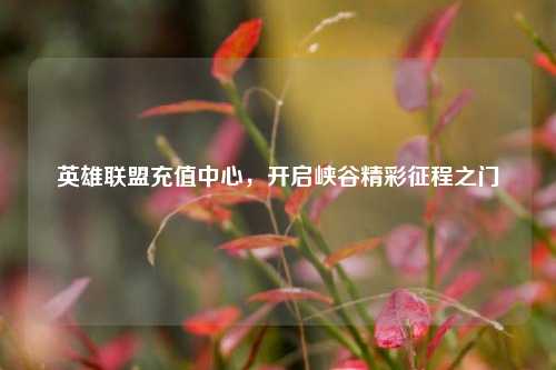 英雄联盟充值中心,开启峡谷精彩征程之门