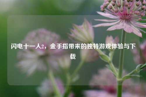 闪电十一人2,金手指带来的独特游戏体验与下载