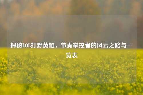 探秘LOL打野英雄,节奏掌控者的风云之路与一览表